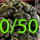 Illustration for article titled Probably Half Of All Men Have HPV